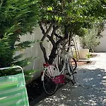 Il Platano Di Nathaly Bari