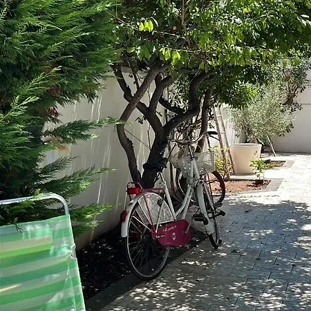 Il Platano Di Nathaly בארי